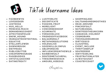 tiktok username ideas